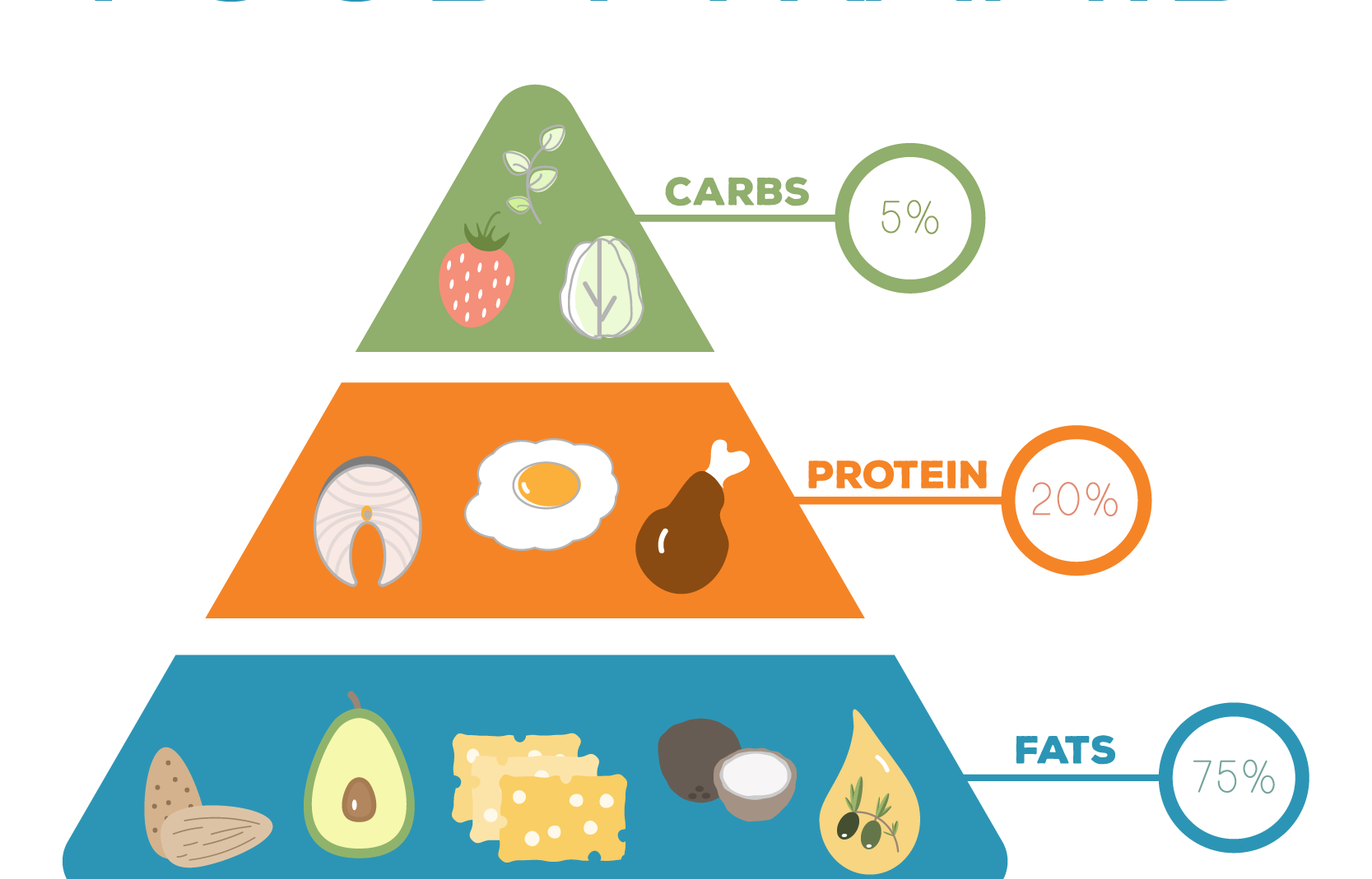 Диета жир белки кето в домашних условиях Диета жир белки кето в домашних условиях