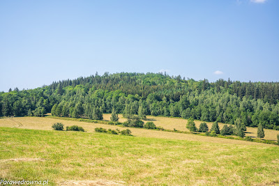 Dostojna Leśnica