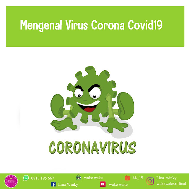 Mengenal Virus Corona Covid19