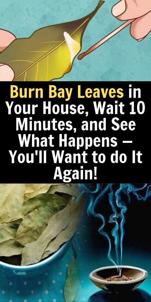 Burn Bay Leaves in Your House, Wait 10 Minutes, and See What Happens