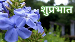 Good morning image for whatsapp in hindi