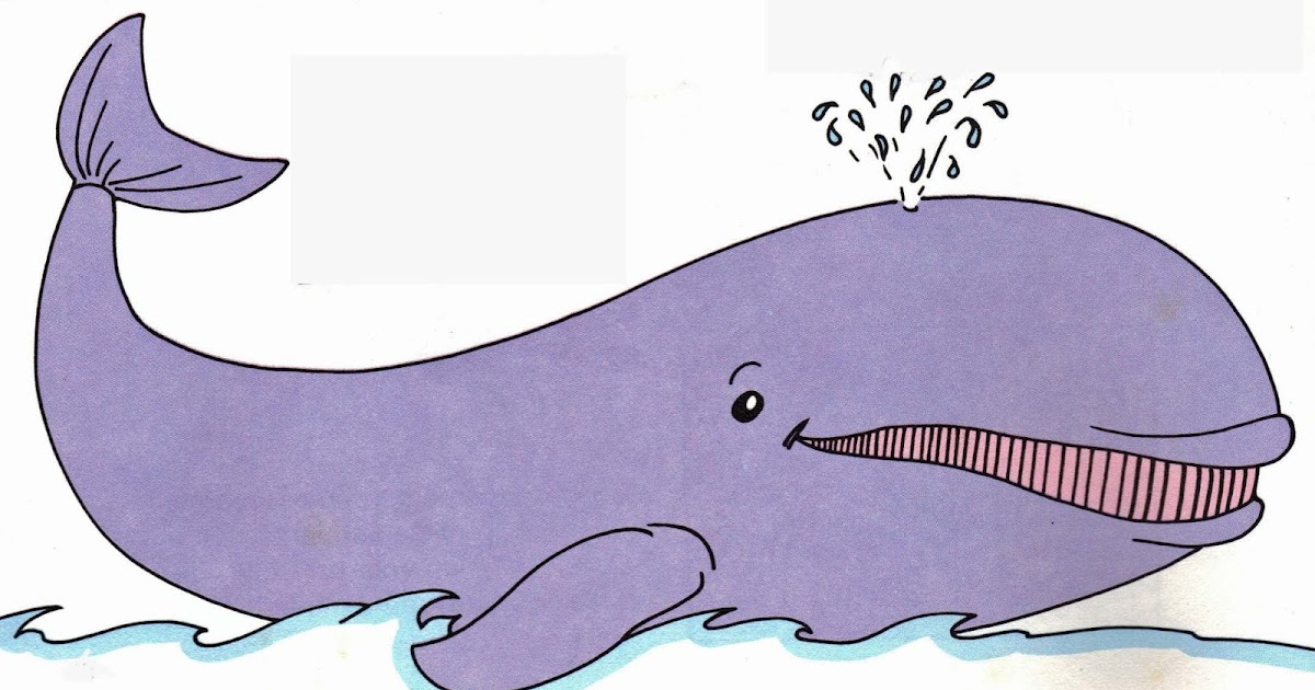 MàM 20152016 Pique la baleine