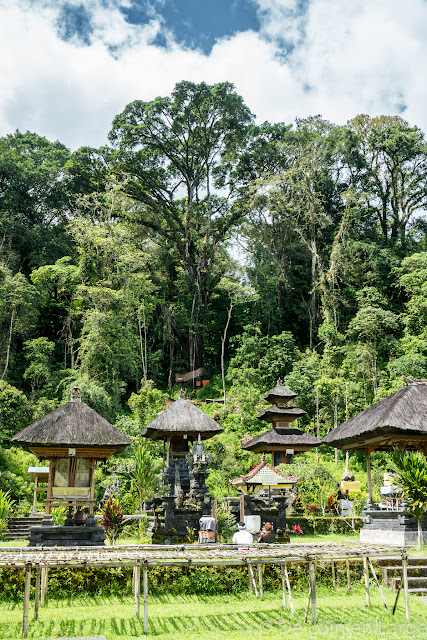 Trek du Lac Tamblingan - Bali