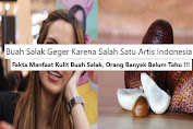 Buah Salak Geger Karna Salah Satu Artis Indonesia, Fakta Manfaat Kulit Buah Salak, Orang Banyak Belum Tau !!!