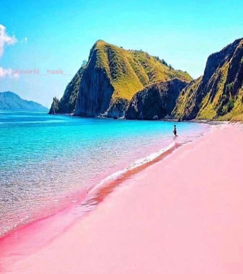 pink beach pulau komodo
