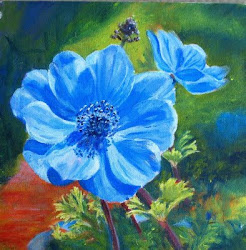 acrylic anemone flowers painting paintings floral acrylics pastel flower oil marion watercolor hedger pastels colourful beginners prints oils