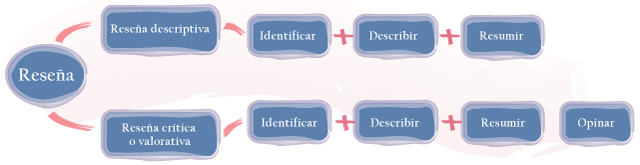 Esly Carraro Identificacion Del Objetivo Y Los Elementos De La Resena Critica