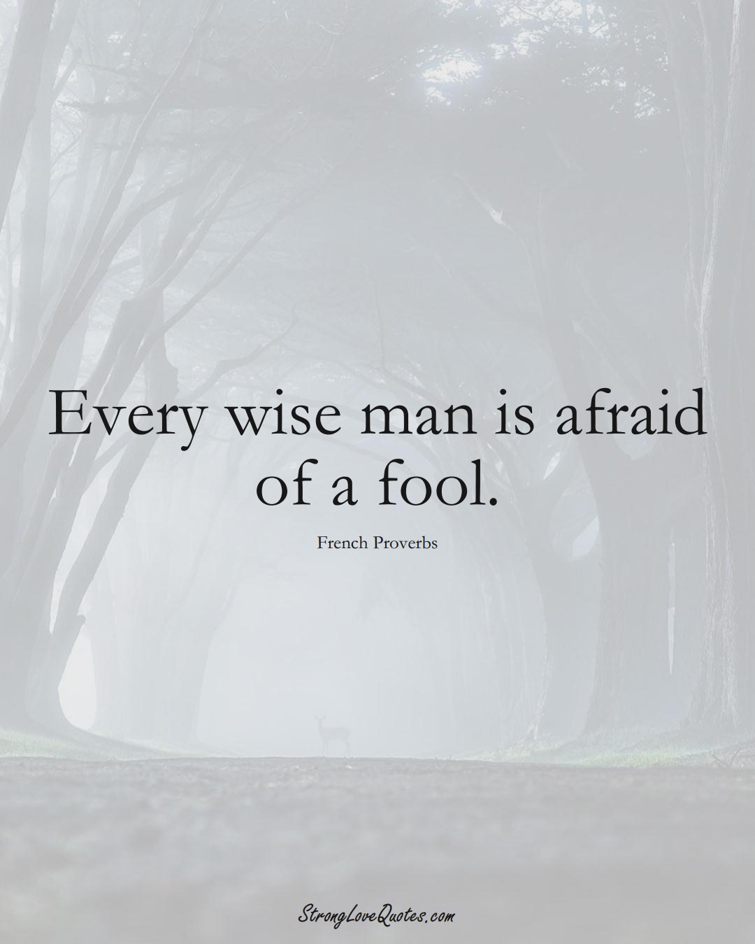 Every wise man is afraid of a fool. (French Sayings);  #EuropeanSayings