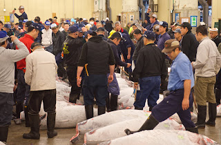 Tsukiji Market - Рыбный рынок Цукидзи, Токио