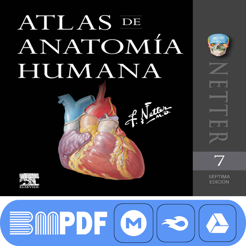 Featured image of post Atlas De Anatomia Netter Pdf This book has been authored by frank h