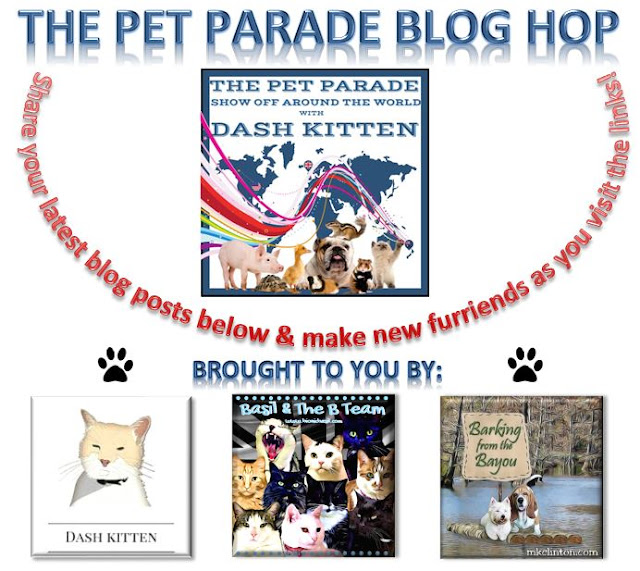 The NEW Pet Parade Banner 2019