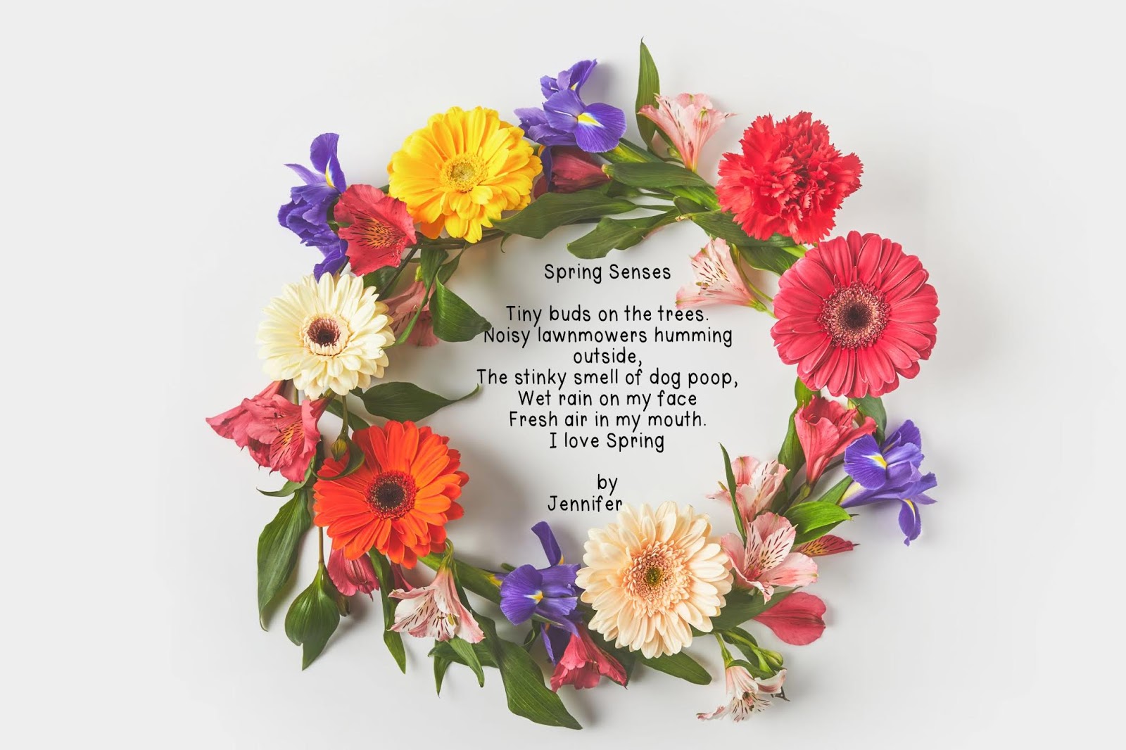  Conversations from the Classroom