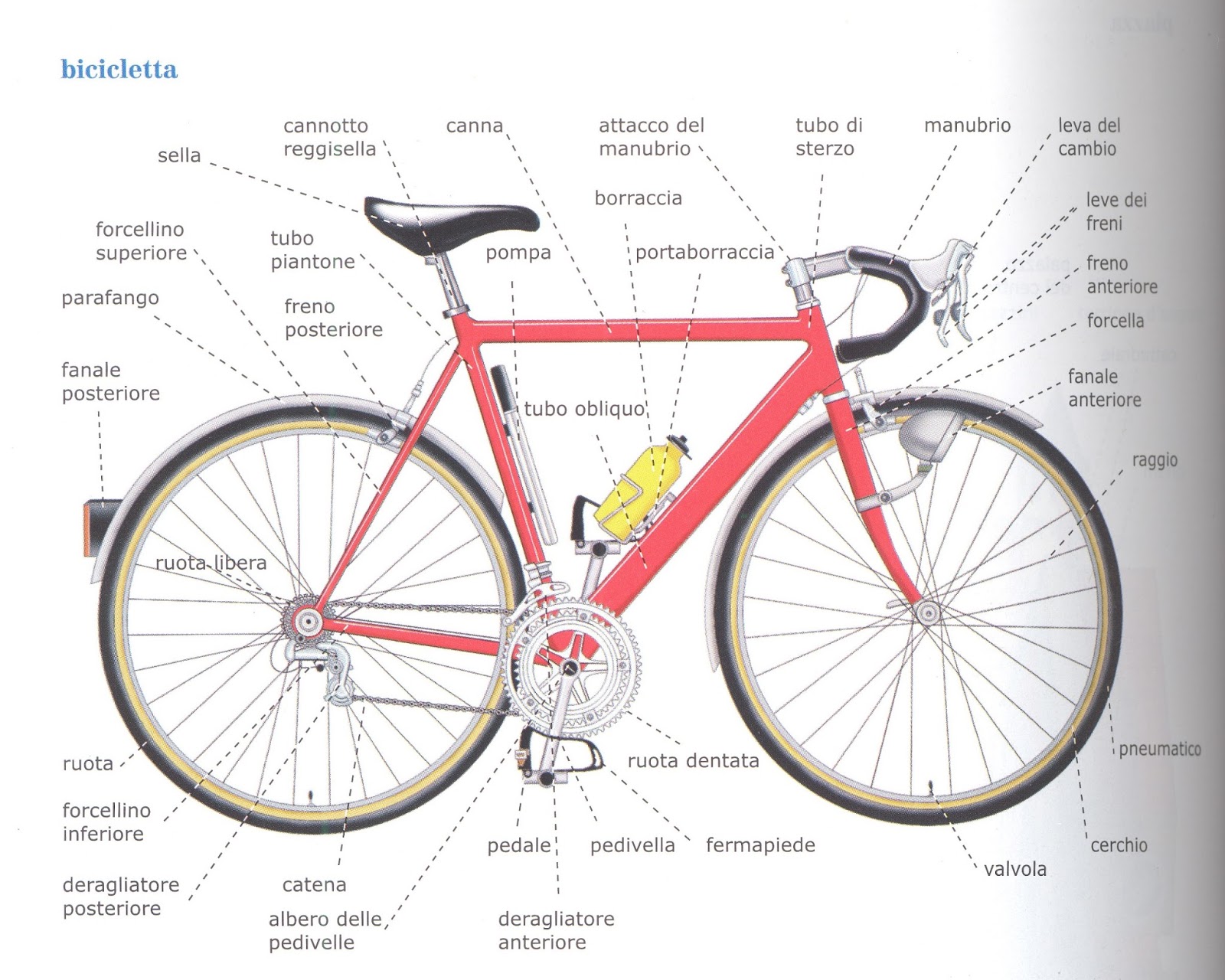 componenti di una bicicletta