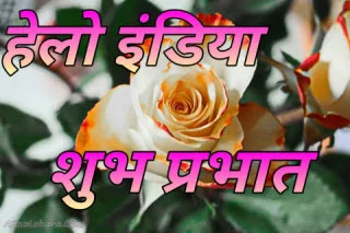 free good morning image download, good morning image for free download, good morning image free download good morning image for whatsapp free download, good morning image free download for whatsapp, good morning image cute