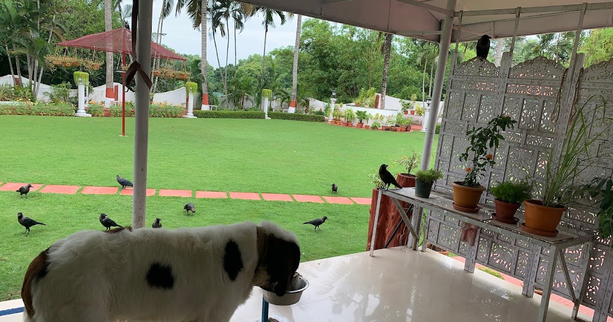 नाश्ते के साथी 