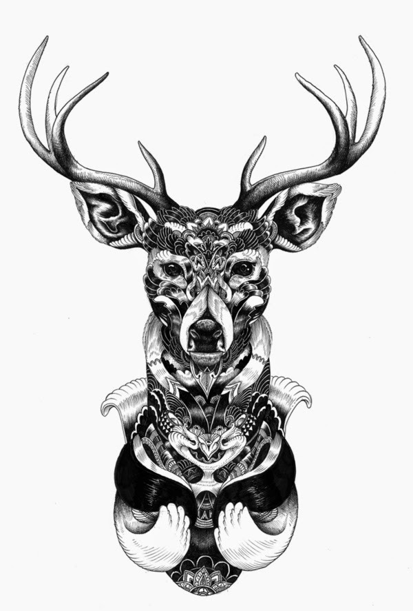 08-Iain-Macarthur-Precision-in-Surreal-Wildlife-Animals-Drawings-www-designstack-co