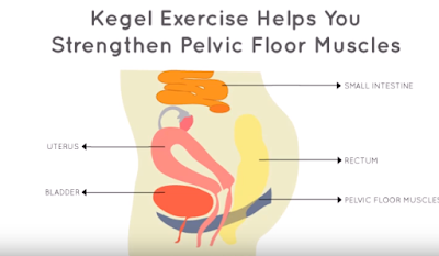 Strenghten Your Pelvic Floor Muscles Natihelp