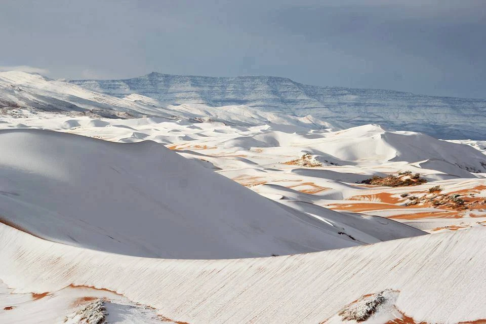 In the Sahara Desert, snow fell (1)
