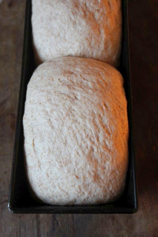 KAMAU: Toastbrot mit Vollkornanteil KAMAU: Toastbrot mit Vollkornanteil