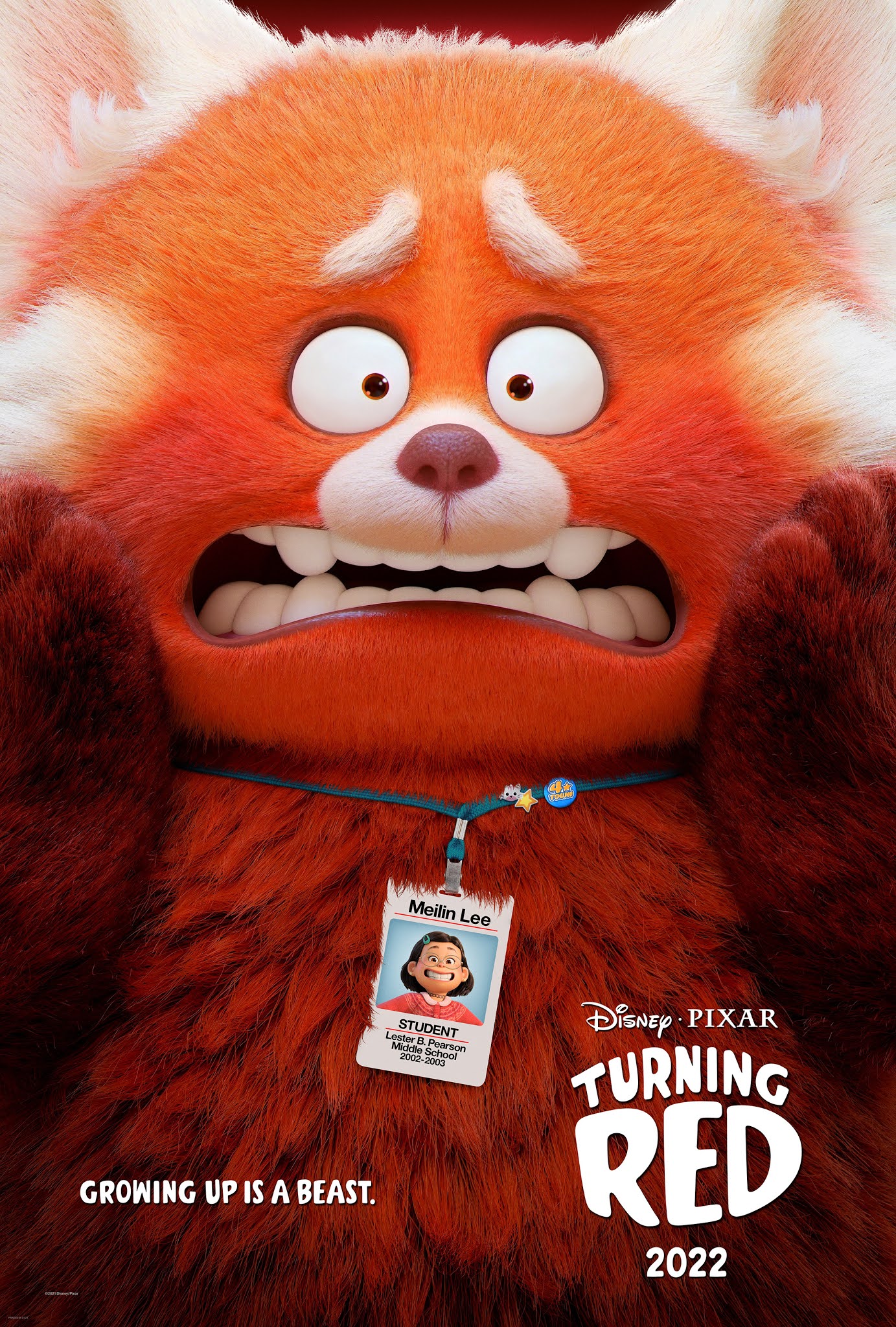 DISNEY AND PIXARS “TURNING RED” Poster and Trailer photo