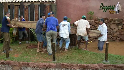 Monjolo de madeira de Jacarandá sendo colocado no eixo de madeira para começar a funcionar com a bica d'água de madeira no lago de pedra.