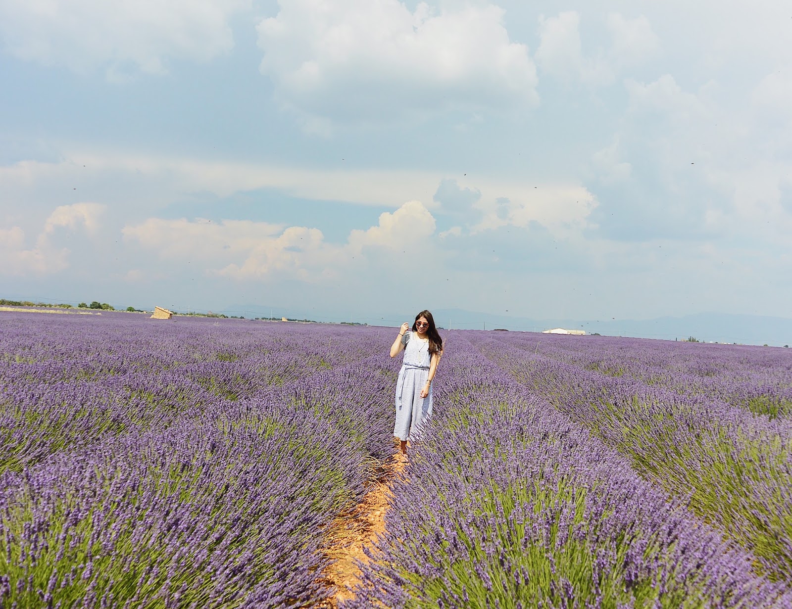 Valensole Lavender Fields Photo Diary | StephC