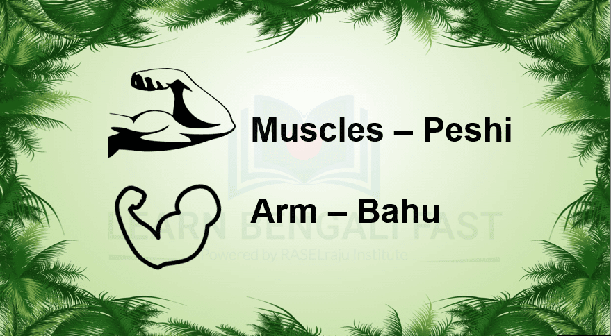 Learn 89 Human Body Parts Name in Bengali ( Including Video & Pictures )