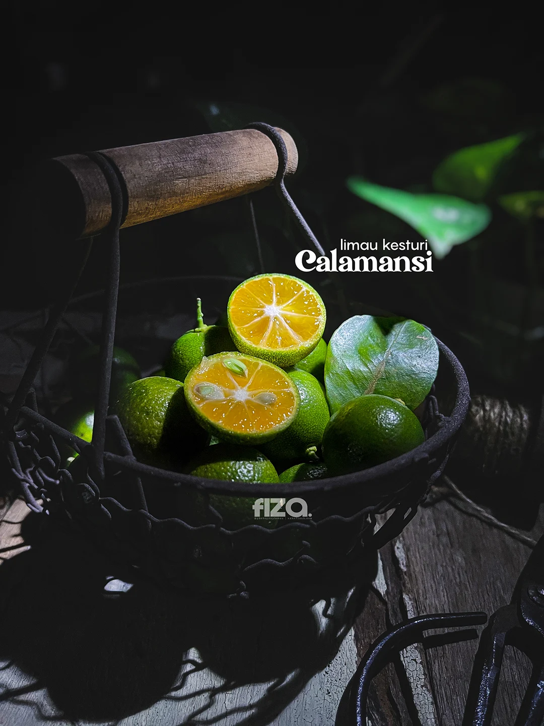 Limau Kesturi Calamansi