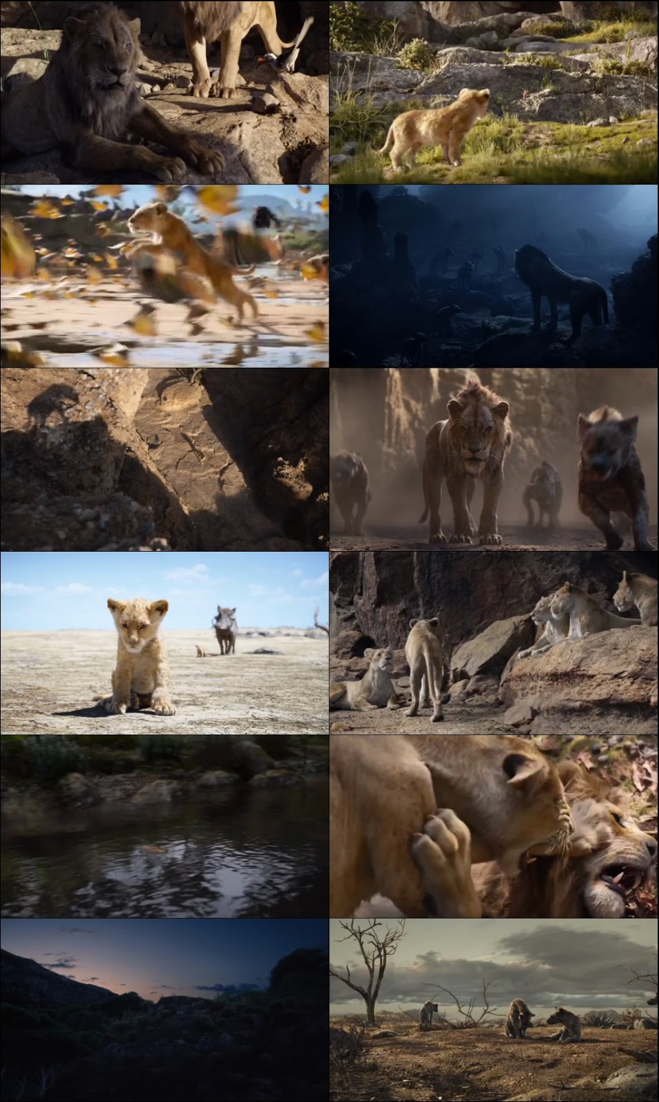 the lion king full movie in Hindi download t torant the lion king full movie in Hindi download t torant