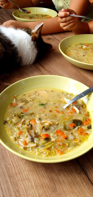 zupa jarzynowa,szybka zupa,zupa grzybowa,z kuchni do kuchni, top blog kulinarny,rosół,
