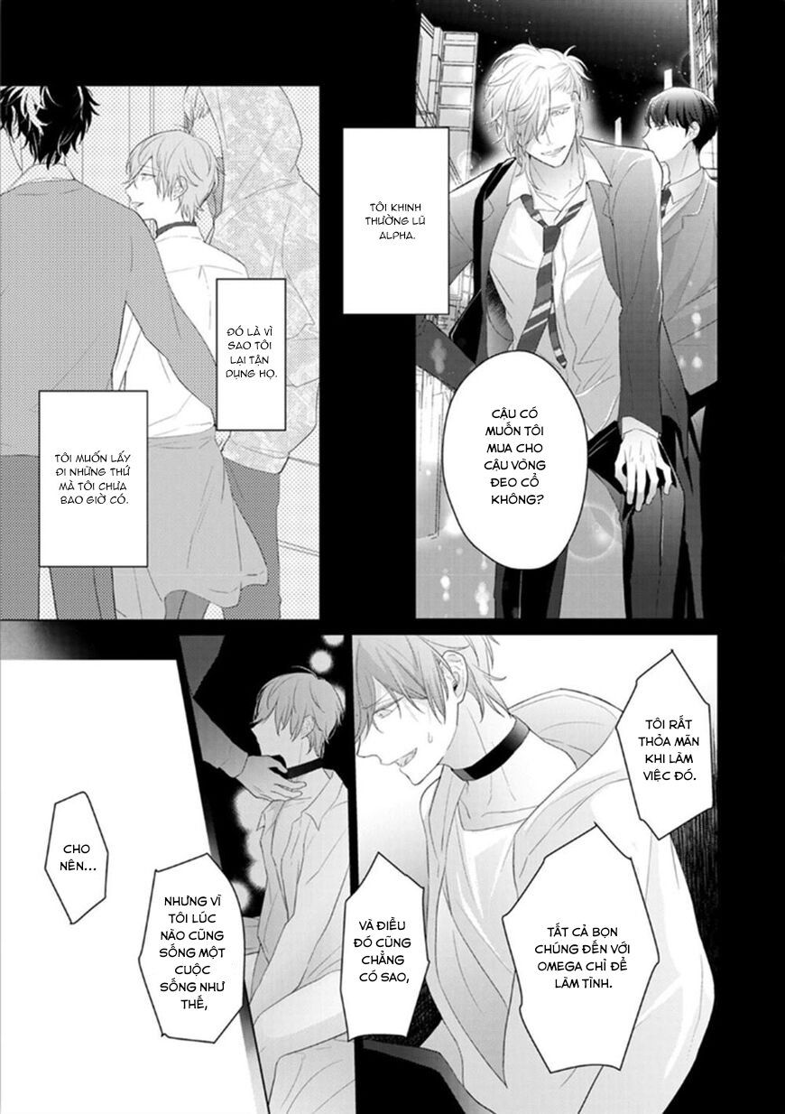 Đọc truyện Omega Không Đứng Đắn Không Thể Rơi Vào Lưới Tình - Chapter 3