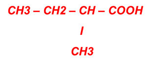 asam- 2- metilbutanoat