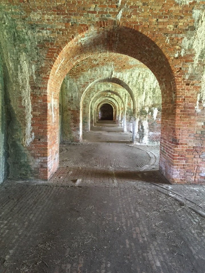 Riddle Riddle Ree What Do You See