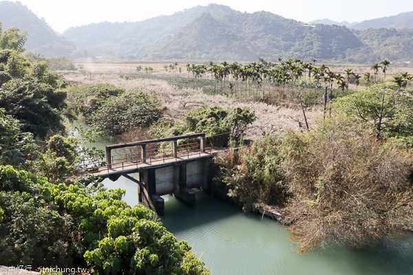 云饌休閒庭園用餐飽覽大甲溪馬鞍後池湖光山色,池邊梅園賞梅花 云饌休閒庭園用餐飽覽大甲溪馬鞍後池湖光山色,池邊梅園賞梅花