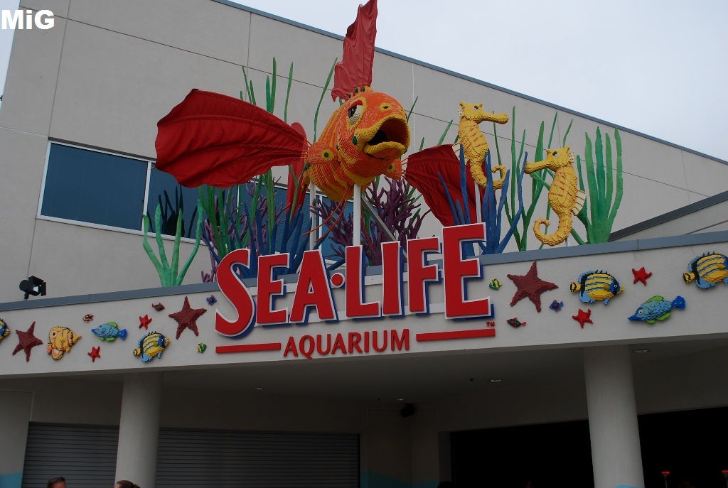MidwestInfoGuide Sea Life Carlsbad