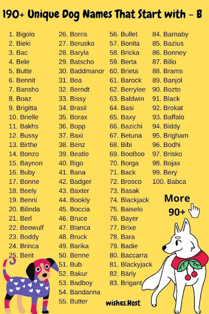 Unique Dog Names That Start with B