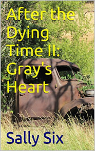 After The Dying Time Book Two:Gray's Heart