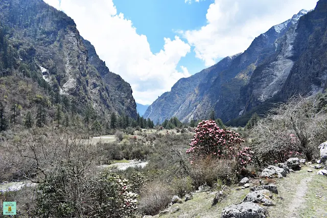 Trekking Valle del Langtang, Nepal