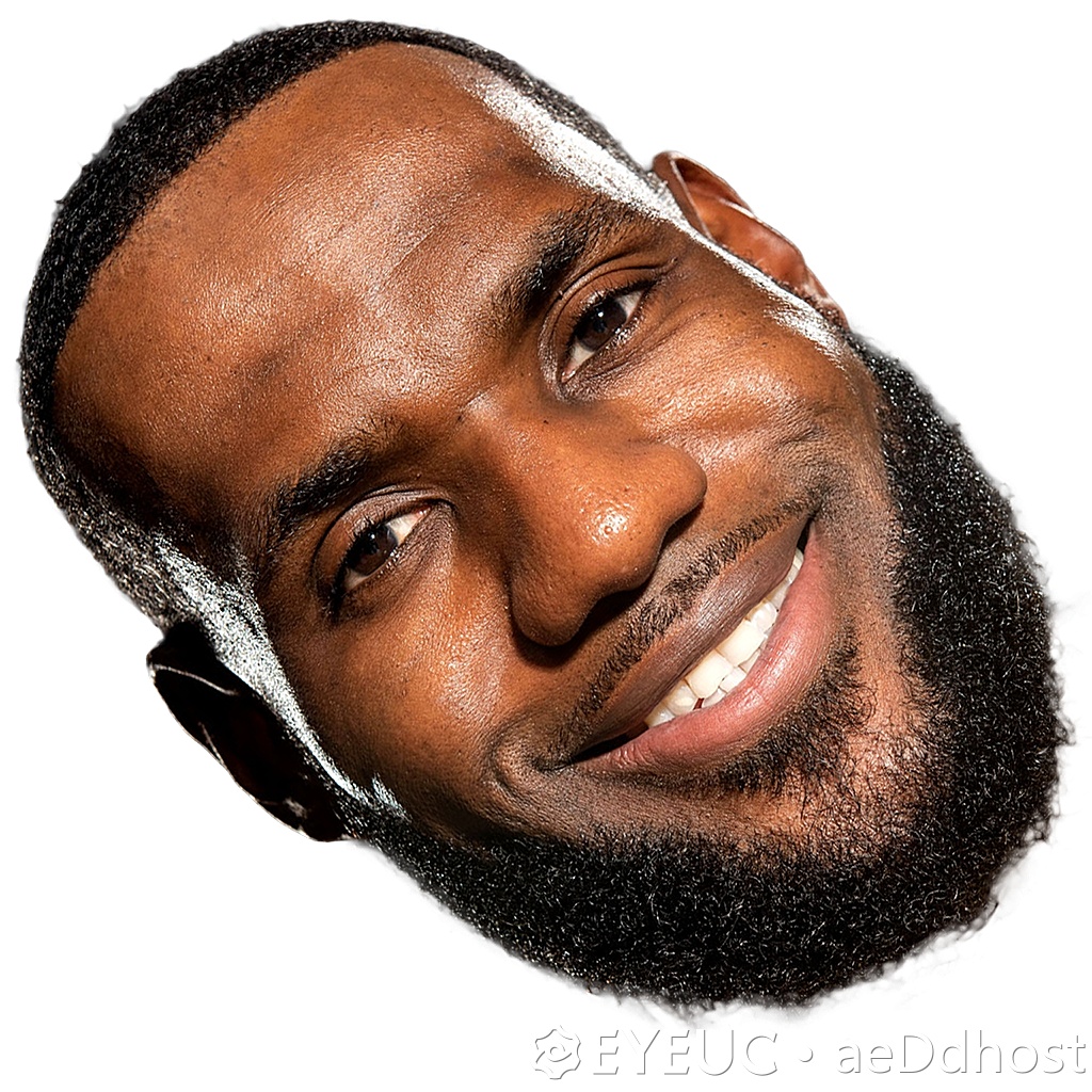 NBA 2K20 LeBron James Crowd Big Head by answer996 - Shuajota | Your Site for NBA 2K Mods