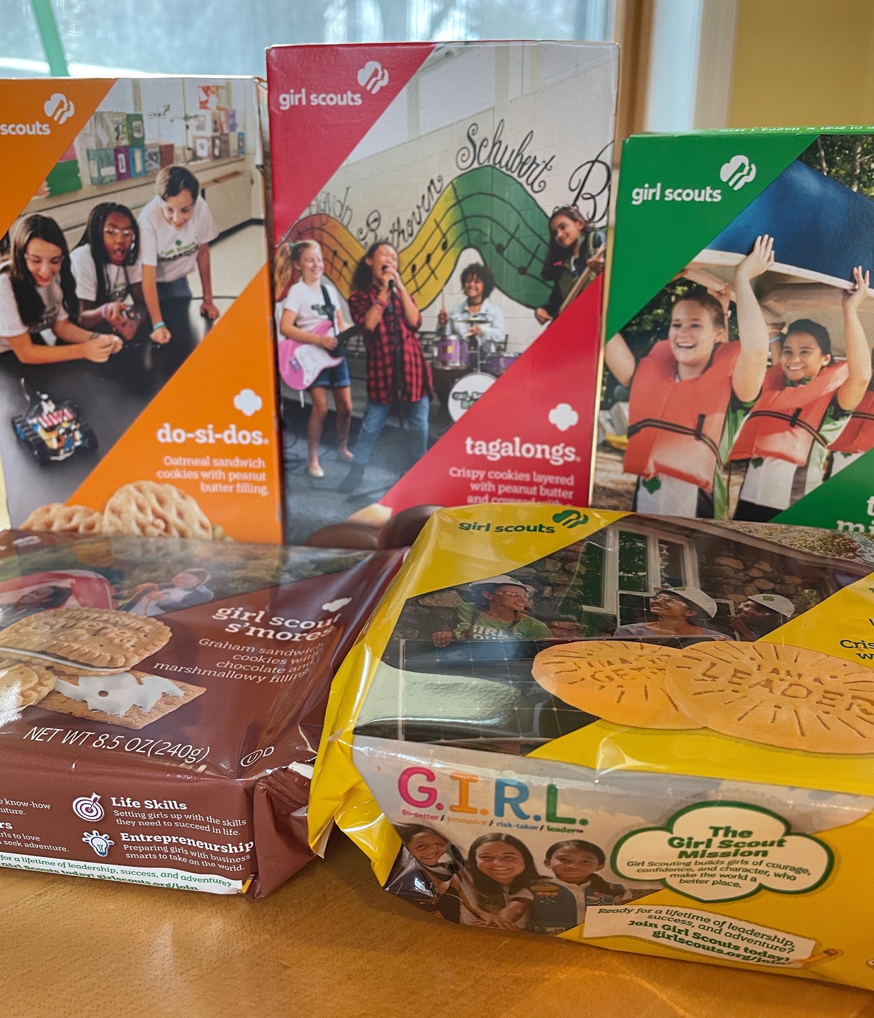 Girl Scout Thin Mint Brownies Julie's Creative Lifestyle