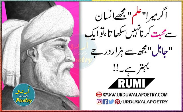 Rumi Quotes about Loving Man, Ignorant Person Quotes in English, Knowledge Quotes in Urdu