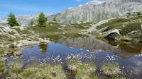 Via Albula, Bergün, Preda, Spinas @wandernohneende