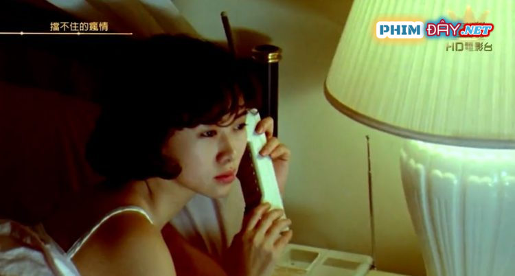 Cơn Gió Tình Không Ngăn Nổi - Don't Stop My Crazy Love for You (1993) Cơn Gió Tình Không Ngăn Nổi - Don't Stop My Crazy Love for You (1993)