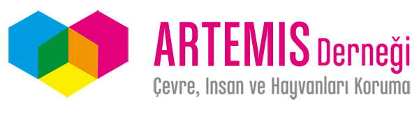 ARTEMIS Derneği