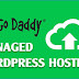 GoDaddy’s Managed Wordpress Hosting Beginner’s Guide 2018