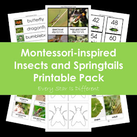 Montessori-inspired Insects and Springtails Printable Pack