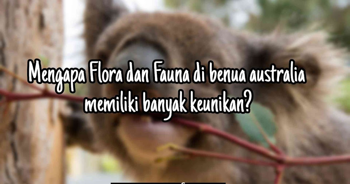 Flora Dan Fauna Di Benua Australia Memiliki Banyak Keunikan Hal Ini Disebabkan Mamasfian Com Flora Dan Fauna Di Benua Australia Memiliki Banyak Keunikan Hal Ini Disebabkan Mamasfian Com