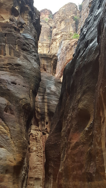 Petra, Jordanie, Jordan, siq, temple, travel, tourism, tourisme, voyages, aventure, adventure, landscape, paysage, elisaorigami