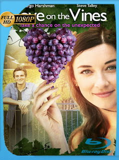 Amor entre Viñedos (2017) HD [1080P] Latino [Google Drive] Panchirulo