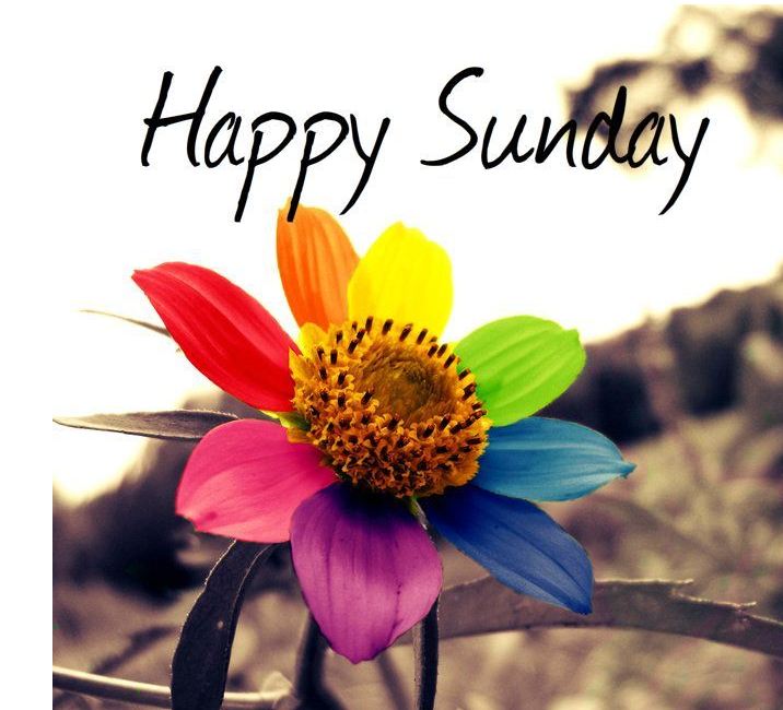 Happy Sunday images